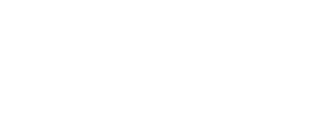 FAU (Friedrich-Alexander-Universität Erlangen-Nürnberg)