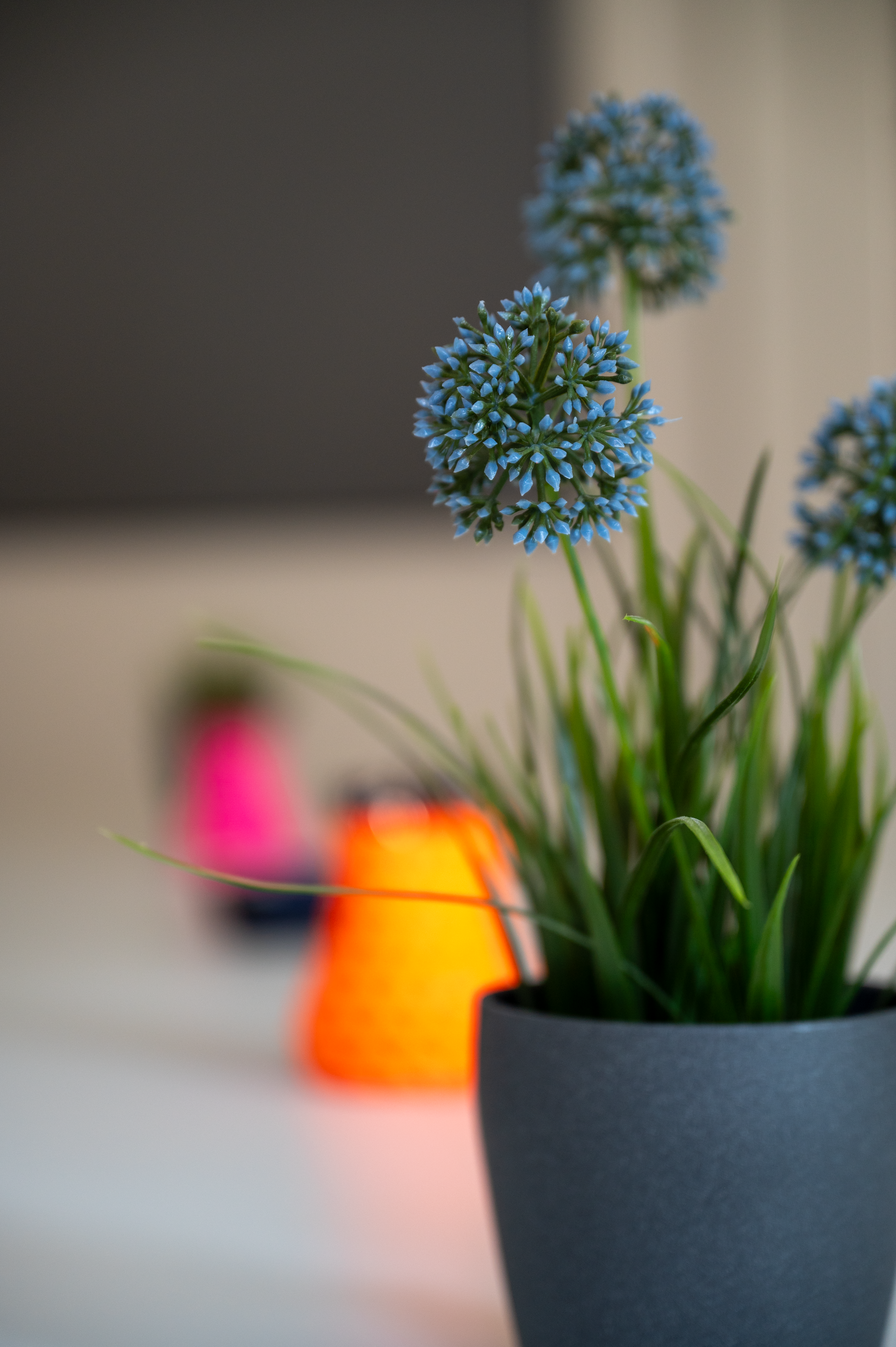 Blumen